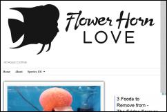 flowerhornlove.com